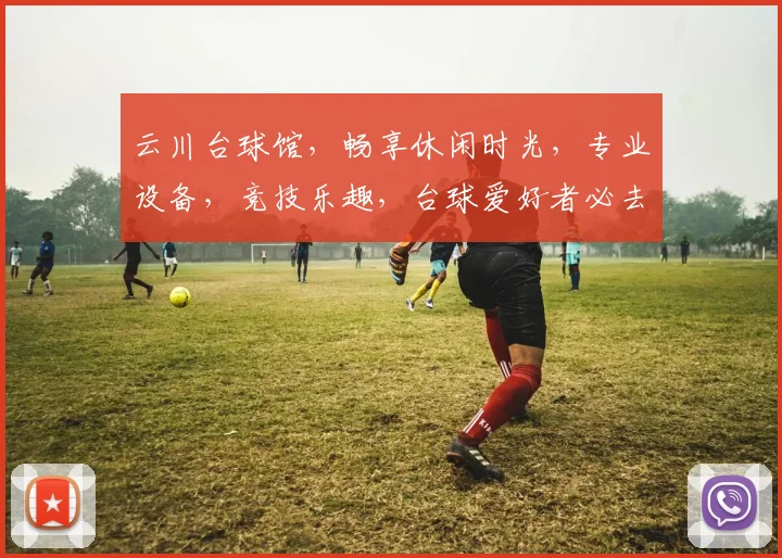 云川台球馆，畅享休闲时光，专业设备，竞技乐趣，台球爱好者必去之地，体验非凡