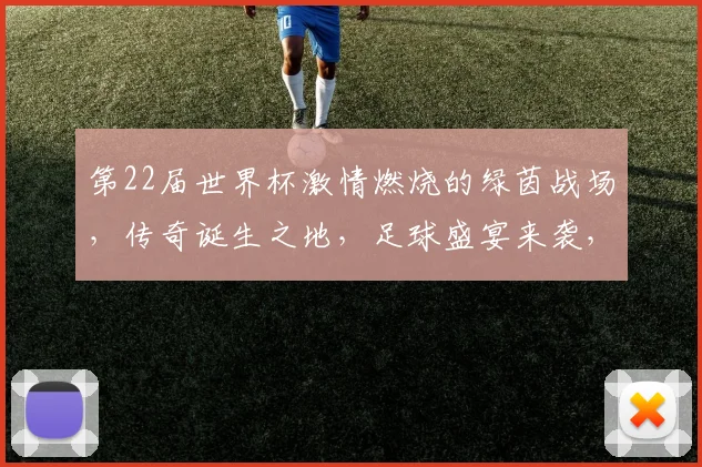 第22届世界杯激情燃烧的绿茵战场，传奇诞生之地，足球盛宴来袭，你准备好了吗