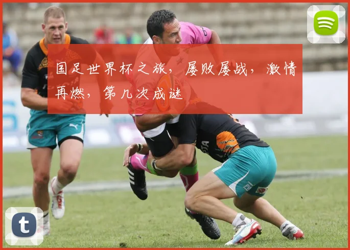国足世界杯之旅，屡败屡战，激情再燃，第几次成谜