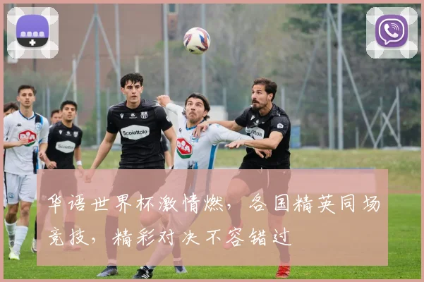 华语世界杯激情燃，各国精英同场竞技，精彩对决不容错过