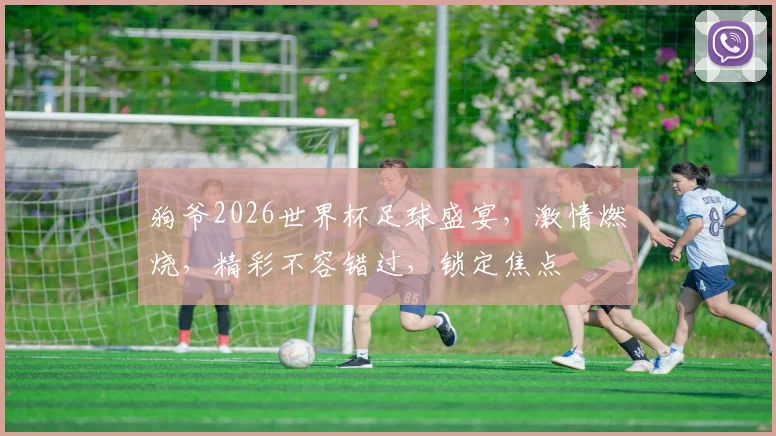 狗爷2026世界杯足球盛宴，激情燃烧，精彩不容错过，锁定焦点