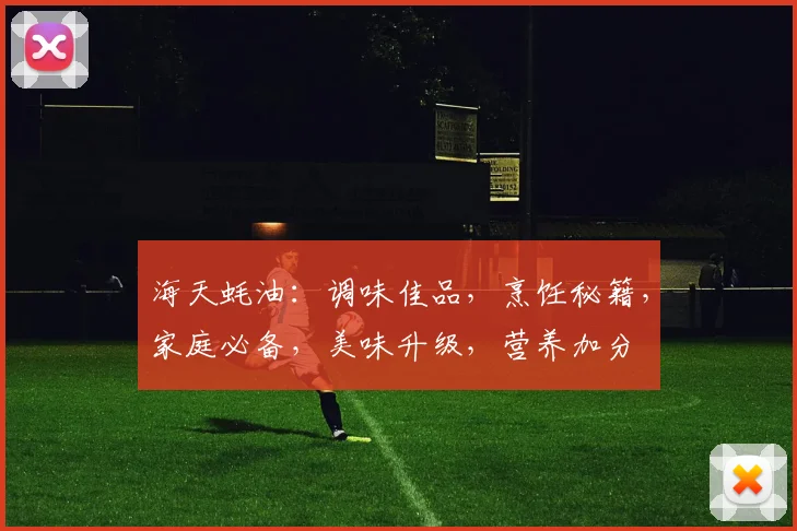 海天蚝油：调味佳品，烹饪秘籍，家庭必备，美味升级，营养加分